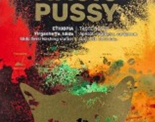 MAGIC PUSSY schokkend of slechte smaak